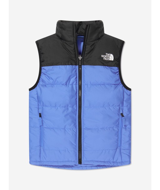 The North Face Kids Never Stop Synthetic Gilet in Blue store