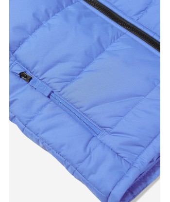 The North Face Kids Never Stop Synthetic Gilet in Blue store